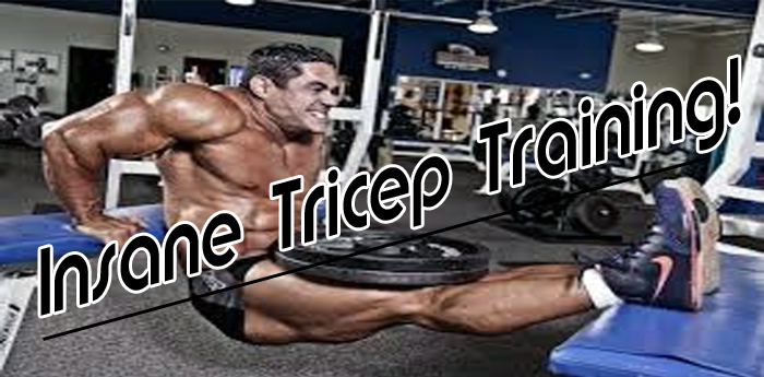 Insane Tricep Training